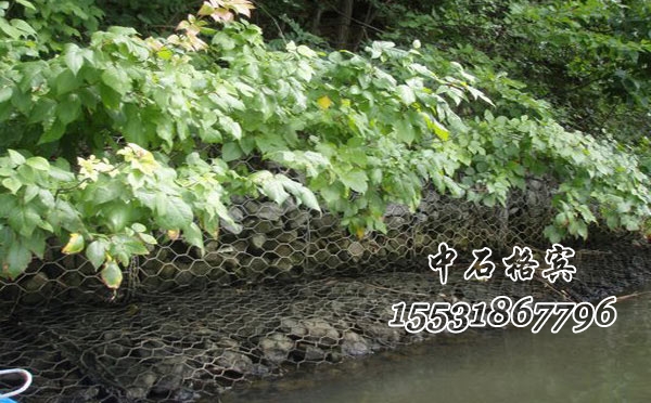 格賓網(wǎng) 格賓網(wǎng)