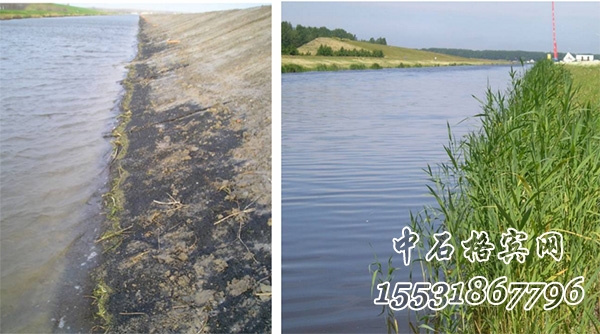 鍍高爾凡加筋麥克墊護(hù)坡 鍍高爾凡加筋麥克墊護(hù)坡